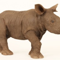 Baby Rhino, Ceramic With Raku Finish