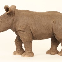 Baby Rhino, Ceramic With Raku Finish