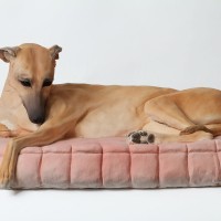 Bella The Whippet, Ceramic