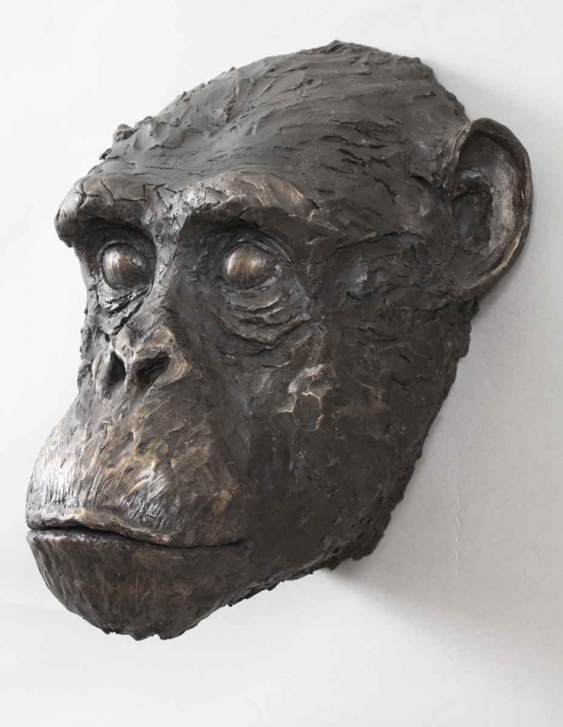 Chimpanzee, bronze resin