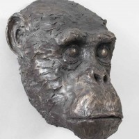Chimpanzee, Bronze Resin