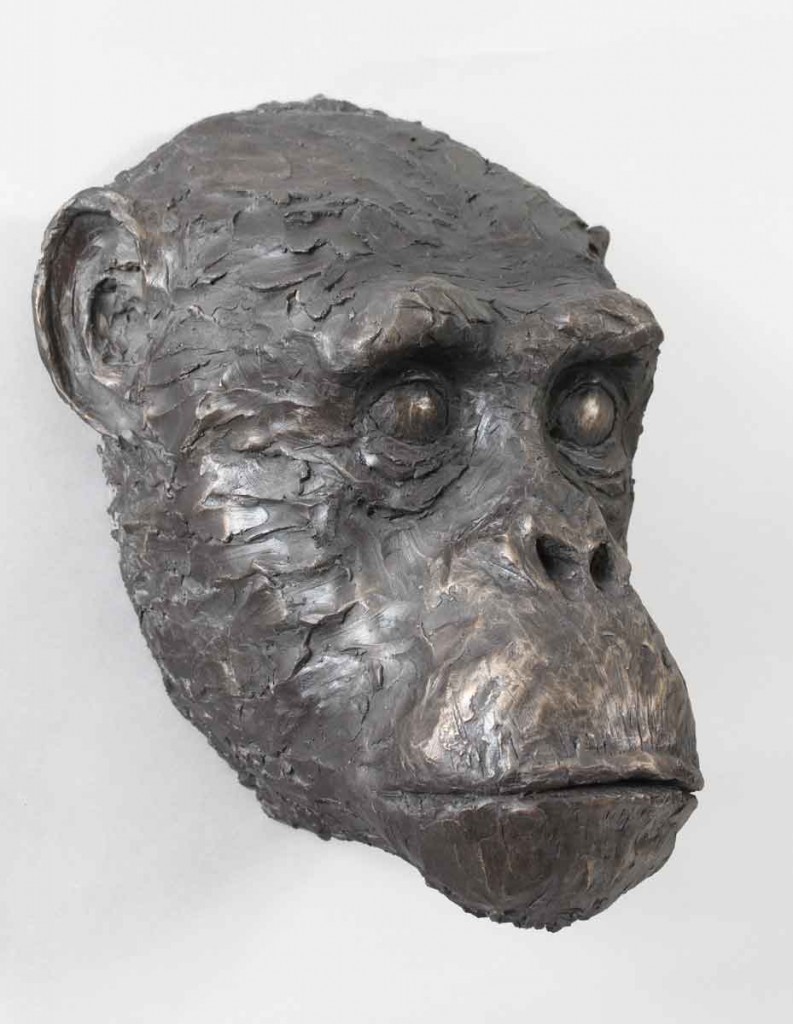 Chimpanzee, bronze resin