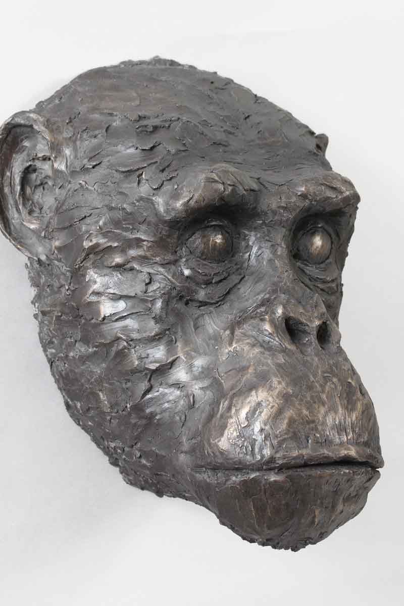 Chimpanzee, Bronze Resin
