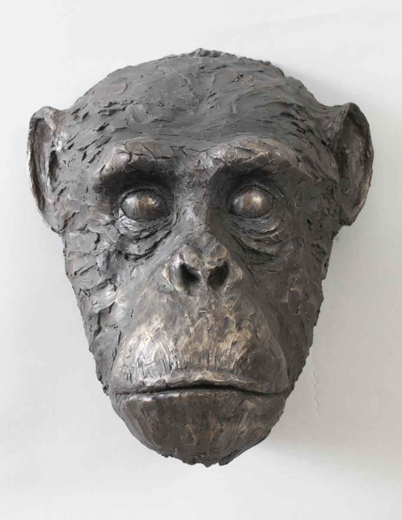 Chimpanzee, bronze resin