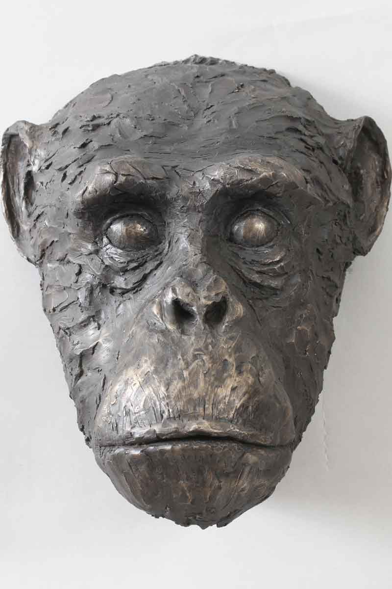 Chimpanzee, Bronze Resin