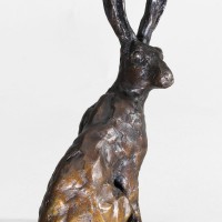 Bronze Hare