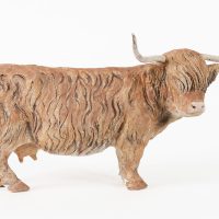 Highland Cow