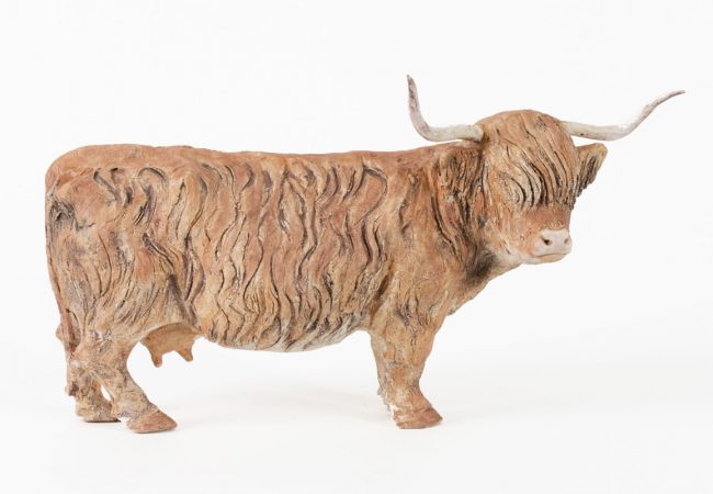 Highland Cow