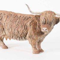 Highland Cow