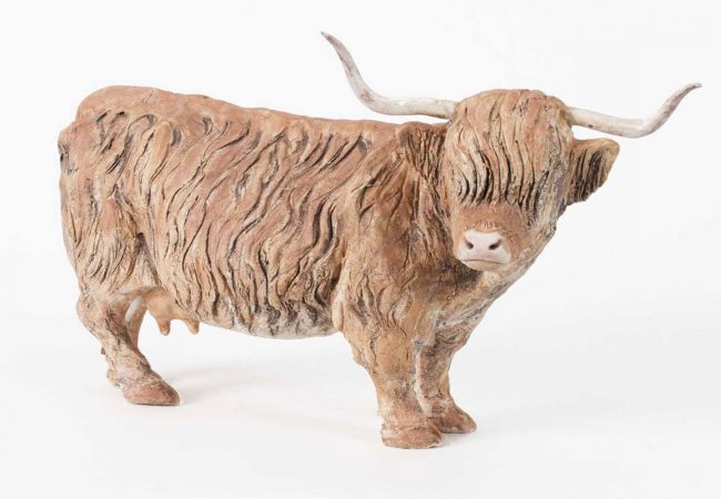 Highland Cow