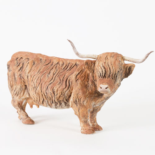 Highland Cow
