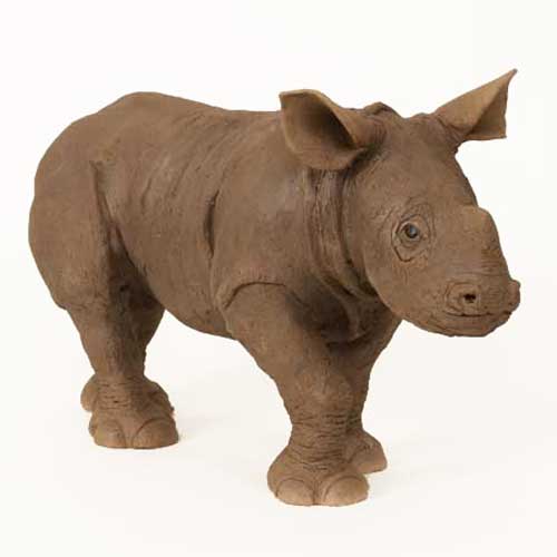 Black Rhino Calf