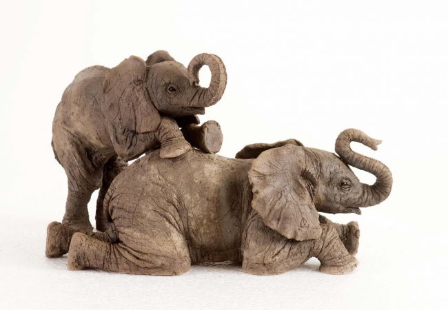 Elephant Calves Playing
