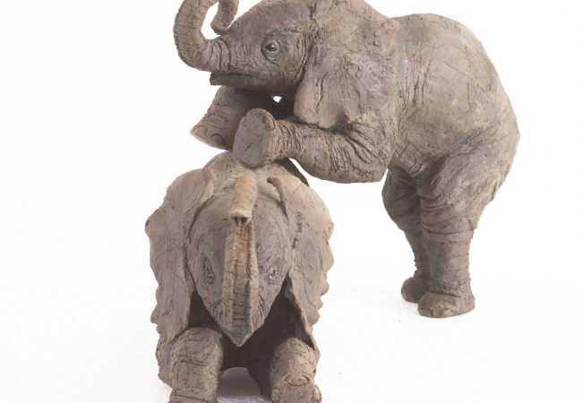 Elephant Calves Playing