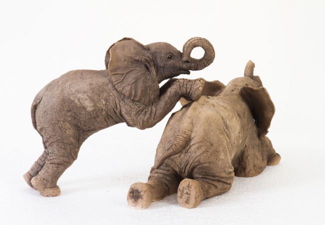 Elephant Calves Playing