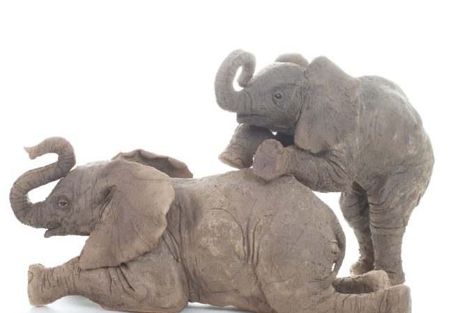 Elephant Calves Playing