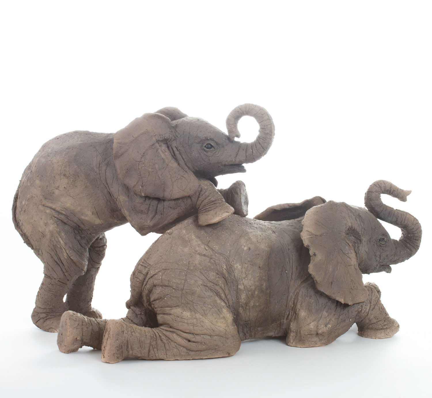 Elephant Calves playing