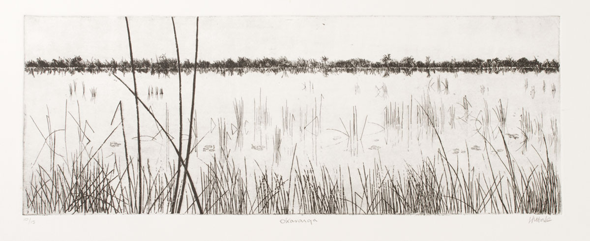 Okavango, etching by Lesley Prickett